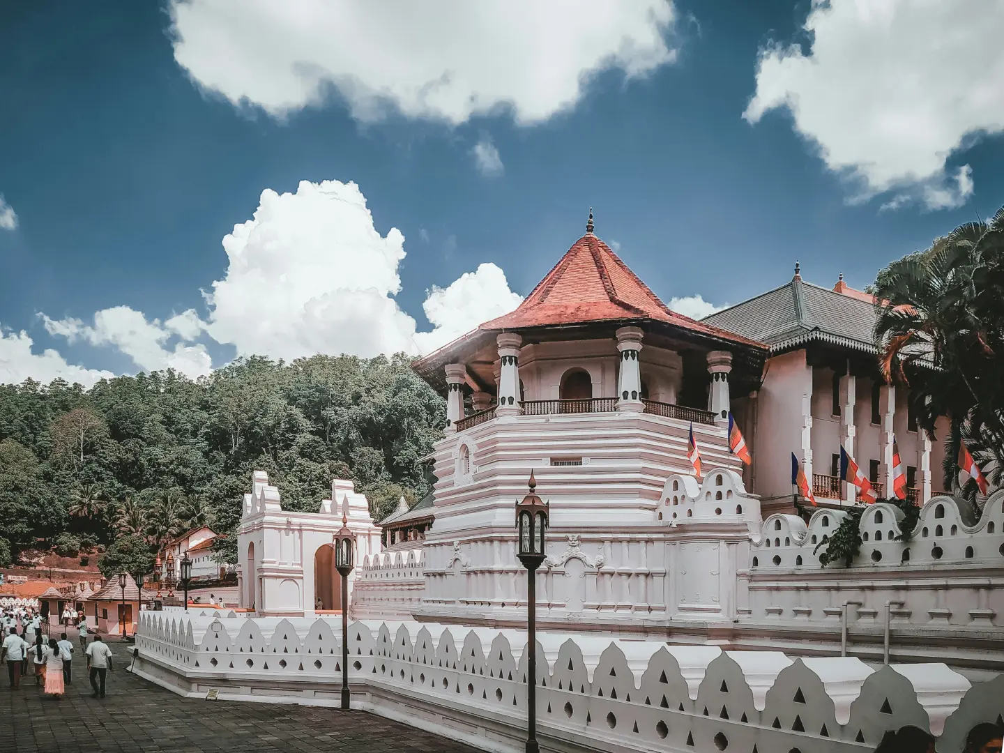 Budget Sri Lanka Explorer (5 Days) - photo 3
