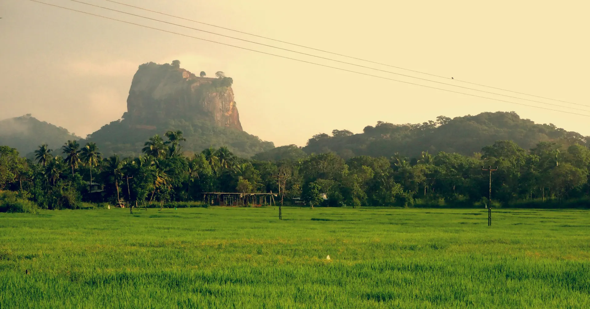 Budget Sri Lanka Explorer (5 Days) - photo 9
