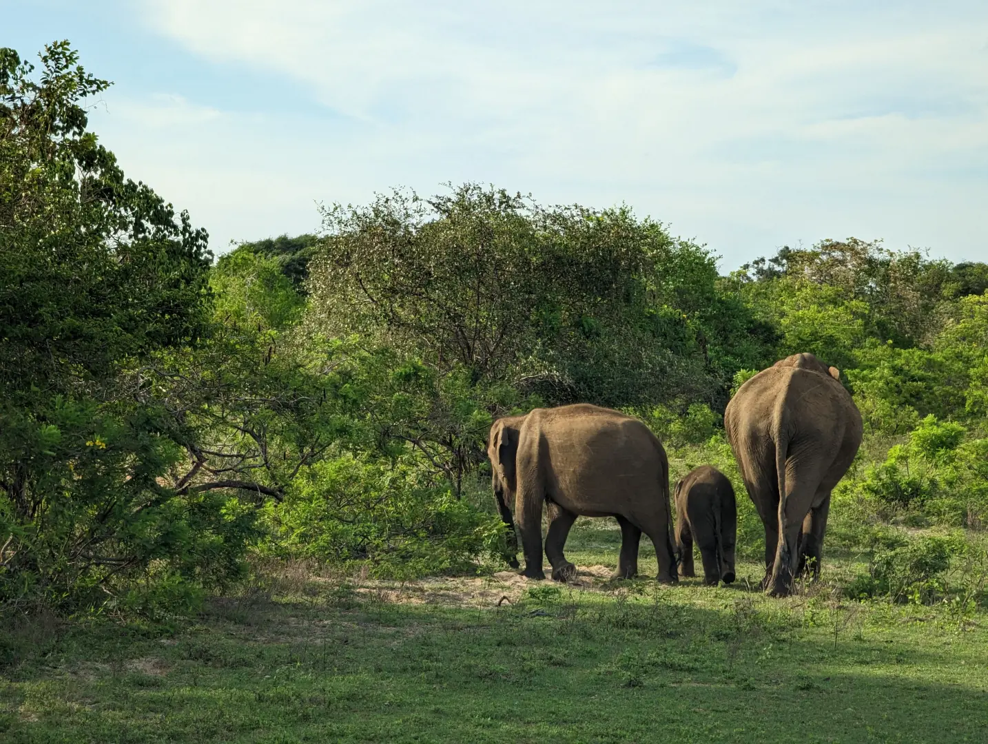 Luxury Sri Lanka Grand Tour (10 Days) - photo 2