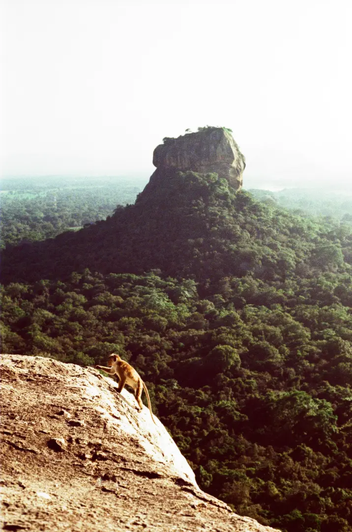 Sri Lanka Adventure & Wildlife Tour (8 Days) - photo 6
