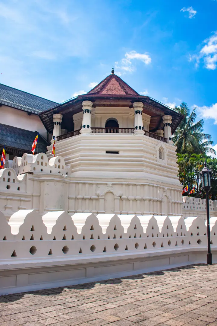 Youth Explorer — Sri Lanka Backpacker Tour (6 Days) - photo 3