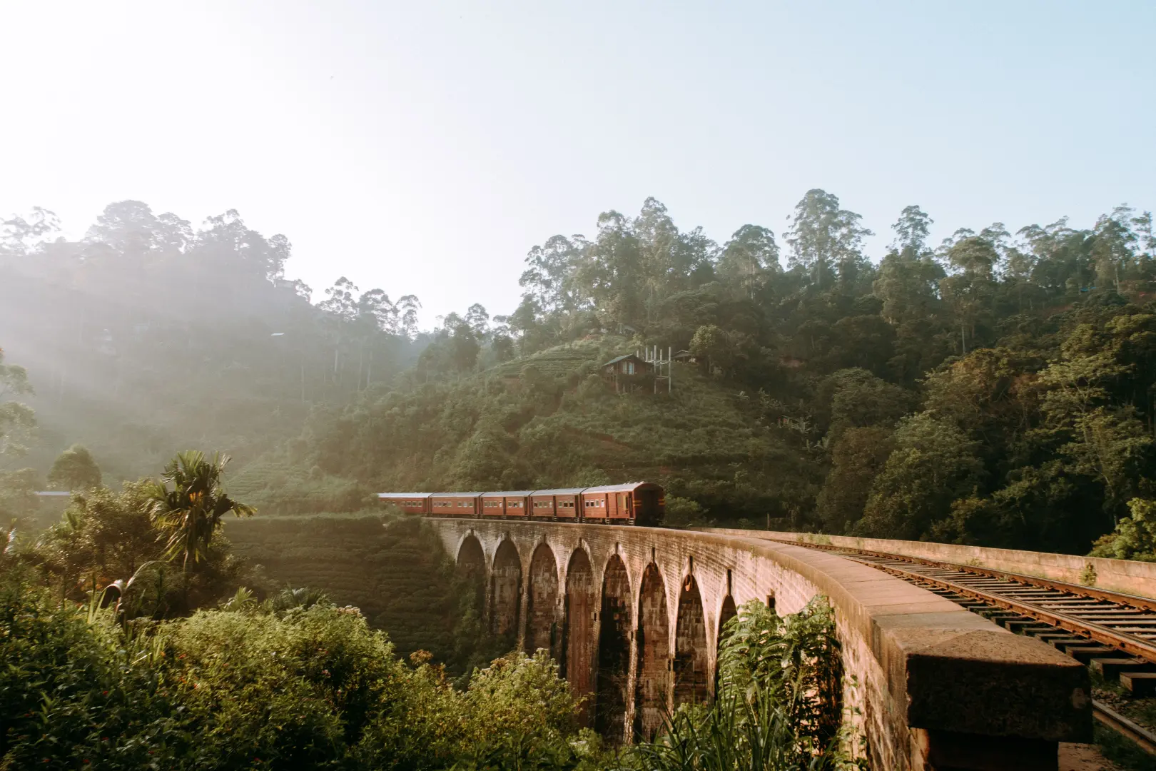 Youth Explorer — Sri Lanka Backpacker Tour (6 Days) - photo 9