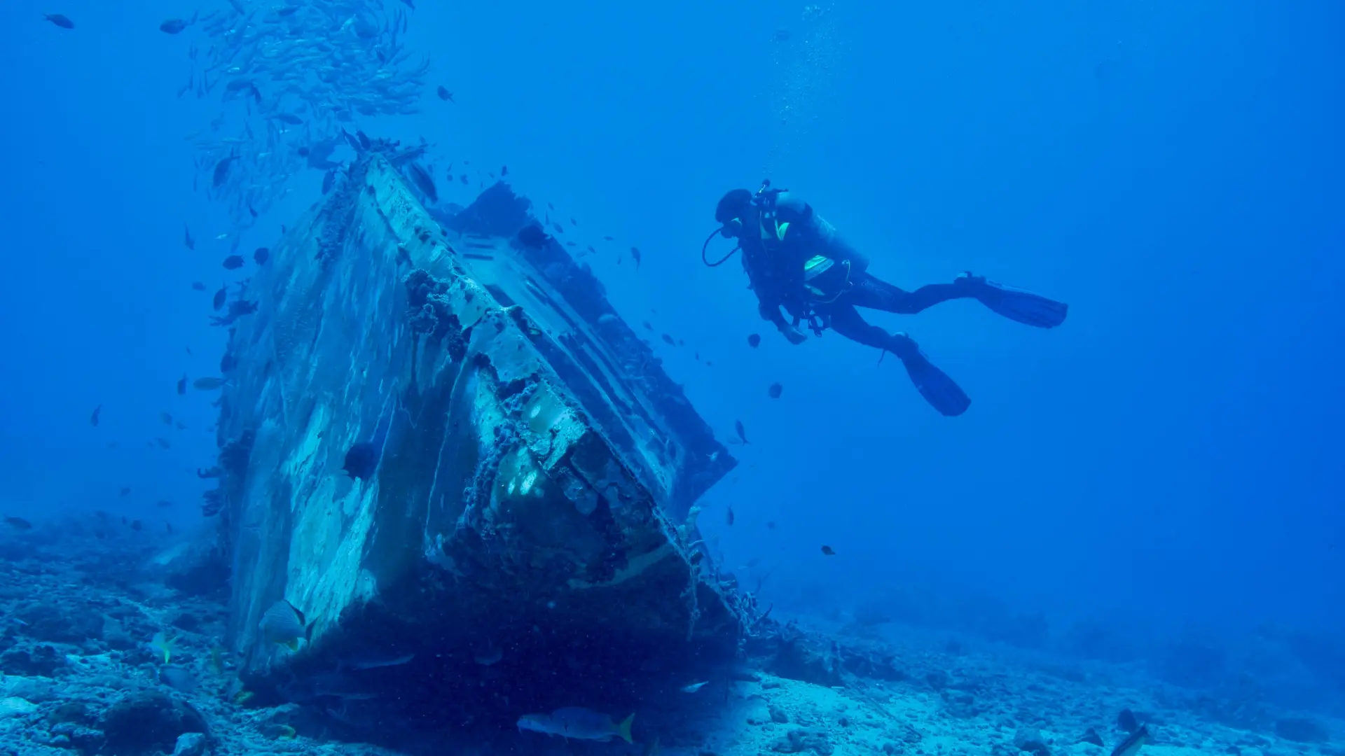 Diving & Snorkelling Tour (5 Days) - photo 2