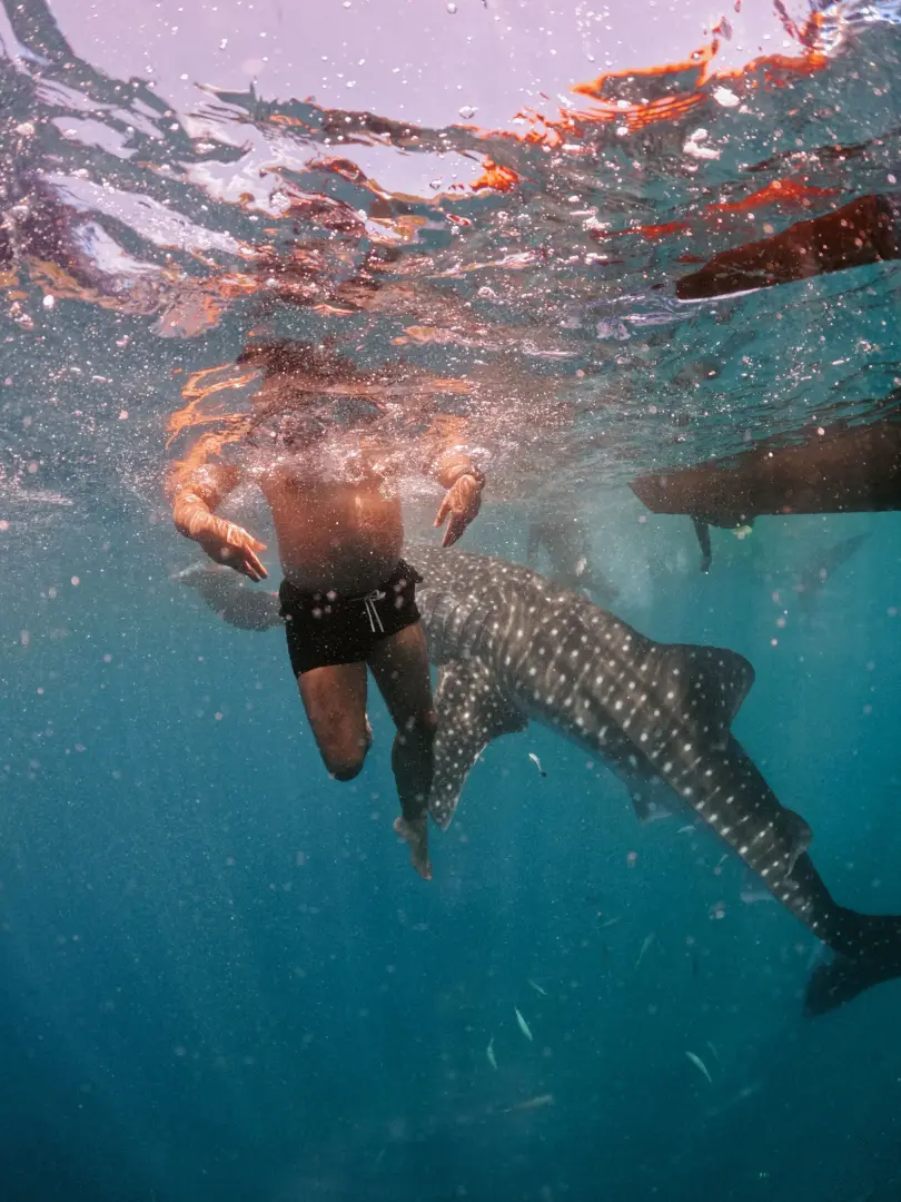 Diving & Snorkelling Tour (5 Days) - photo 9