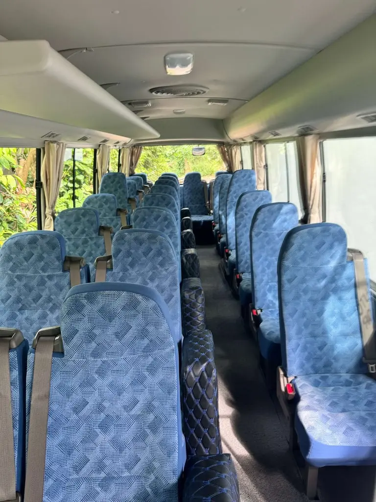 Fuso Rosa (Small Bus) - photo 3