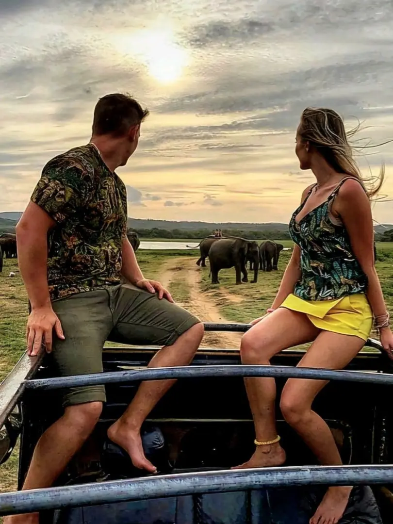Yala National Park – Wildlife Safari Adventure - photo 2