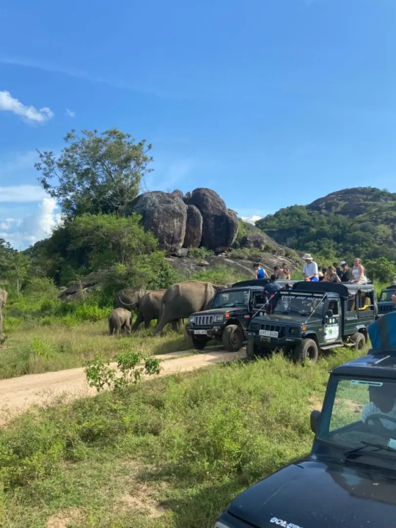 Yala National Park – Wildlife Safari Adventure - photo 7