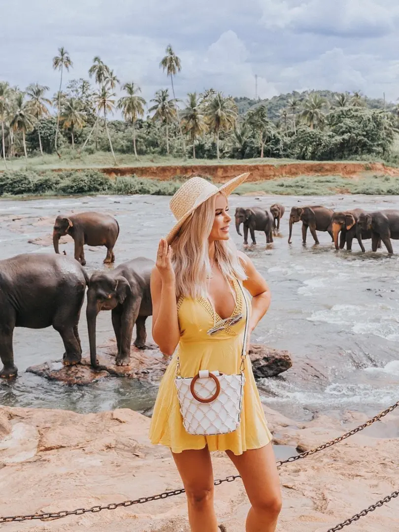 Pinnawala Elephant Orphanage – Meet Sri Lanka's Giants - photo 5