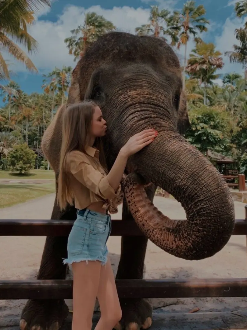 Pinnawala Elephant Orphanage – Meet Sri Lanka's Giants - photo 7