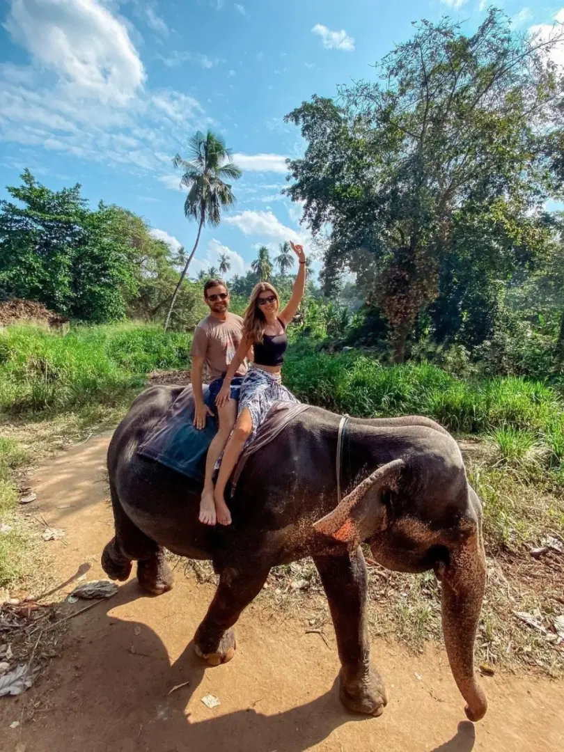 Pinnawala Elephant Orphanage – Meet Sri Lanka's Giants - photo 9