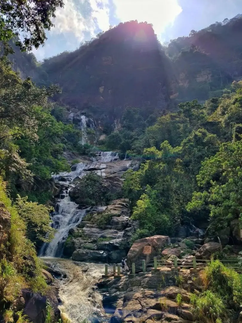 Ella – Scenic Hikes, Waterfalls & Nine Arch Bridge - photo 9