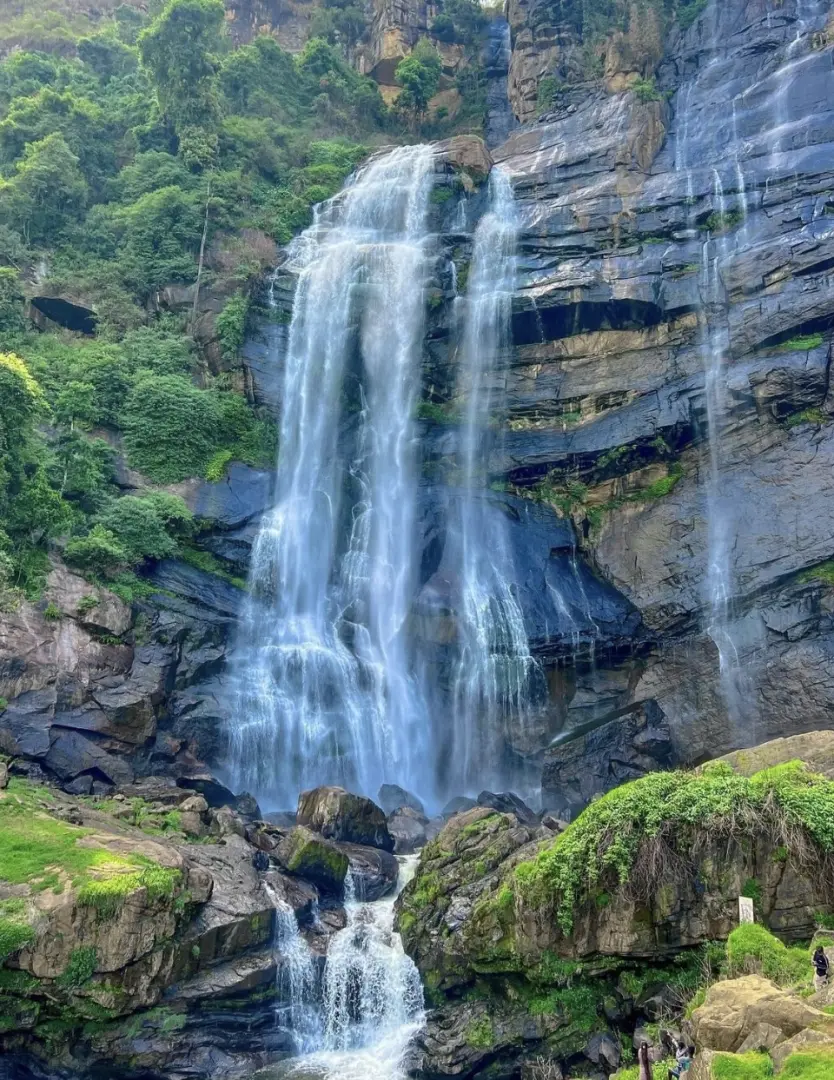 Ella – Scenic Hikes, Waterfalls & Nine Arch Bridge - photo 11