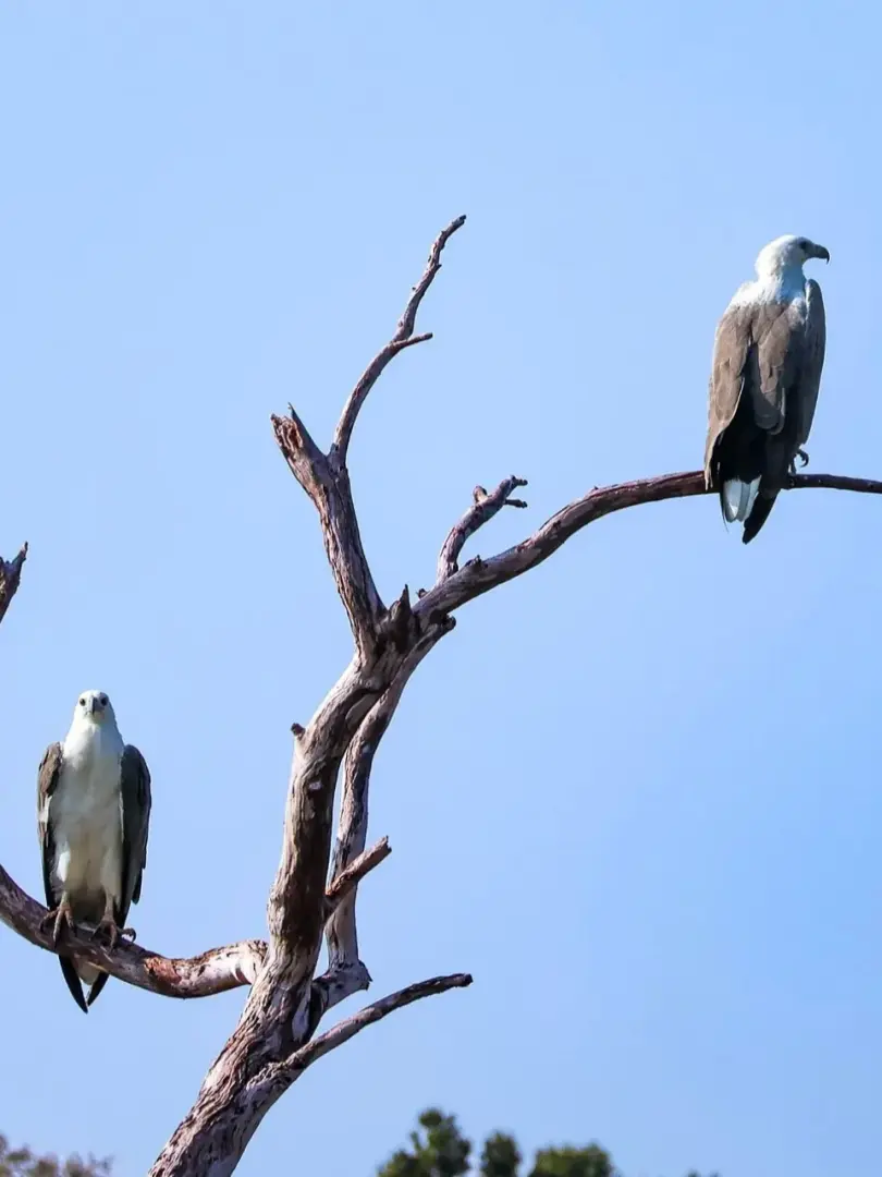 Wilpattu National Park – Leopard Country - photo 8