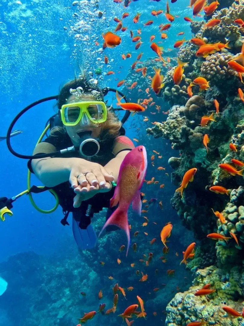 Nilaveli – Pristine Diving in the North East - photo 3