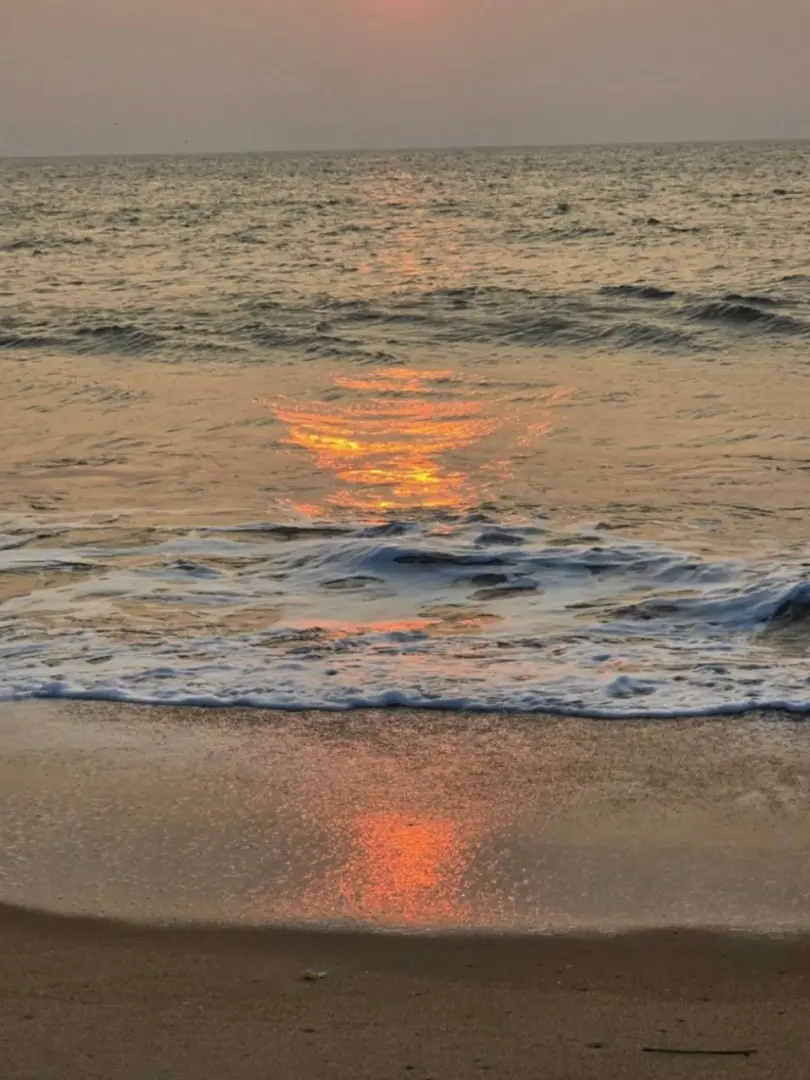 Kalpitiya – Whale Sharks & Dolphin Watching - photo 4