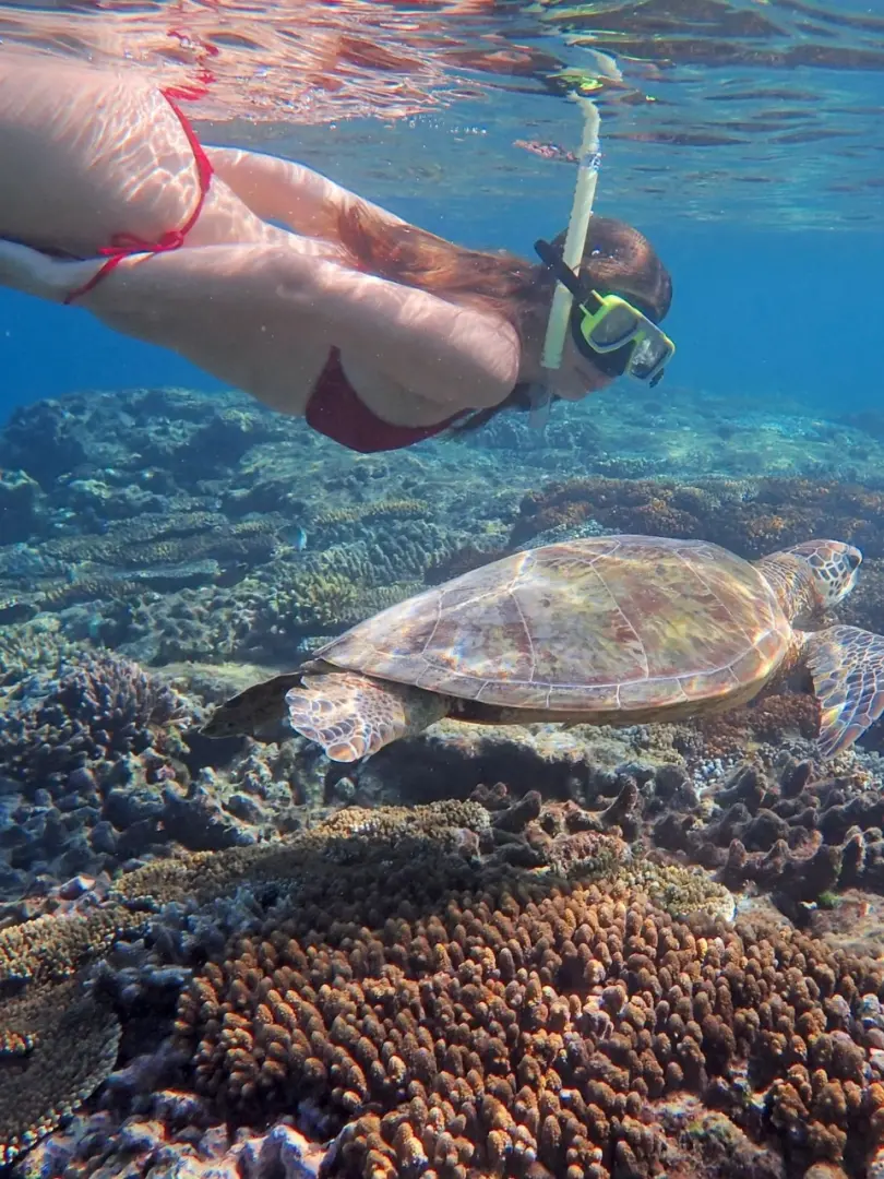 Unawatuna – Beach, Diving & Snorkelling - photo 8