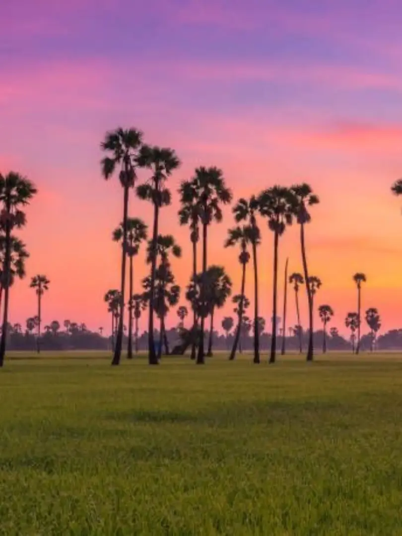 Jaffna – The Cultural Capital of the North - photo 1