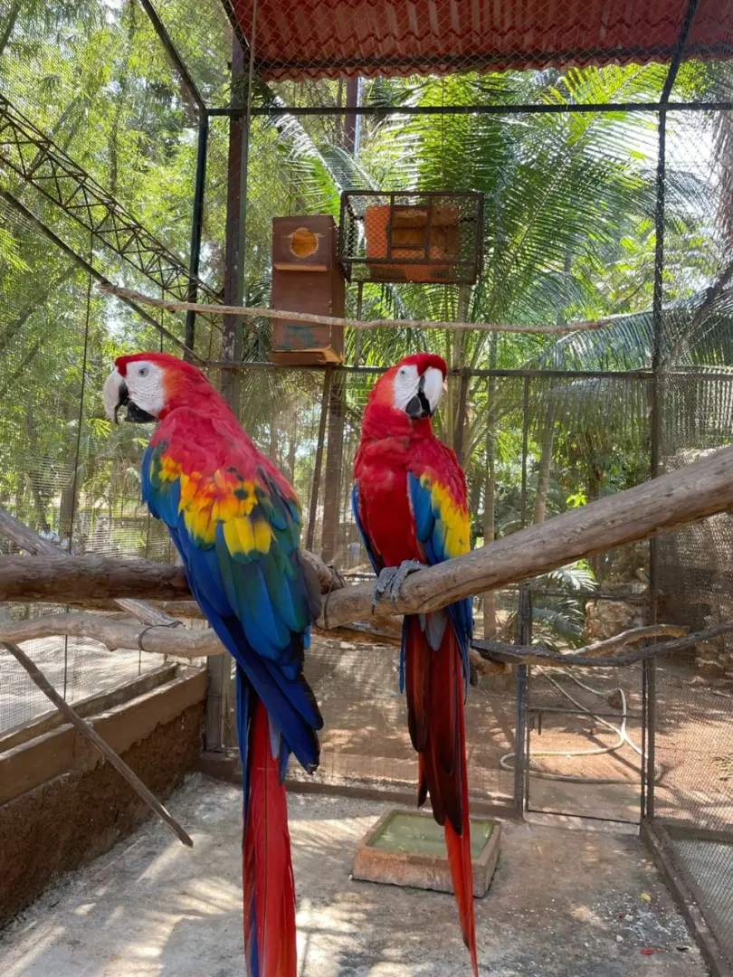 Hambantota – Gateway to Wildlife Sanctuaries - photo 6