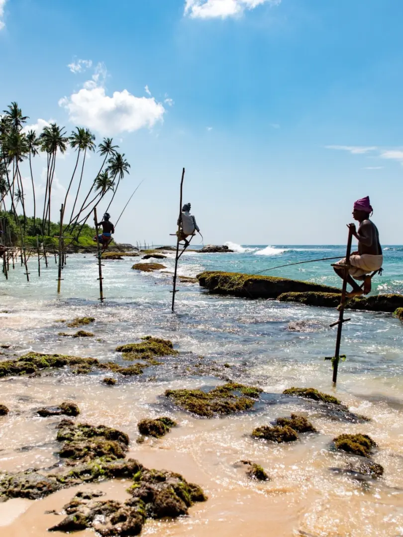 Mirissa – Paradise for Beach Lovers & Whale Watching - photo 2