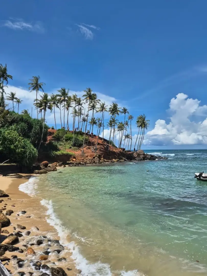 Mirissa – Paradise for Beach Lovers & Whale Watching - photo 3