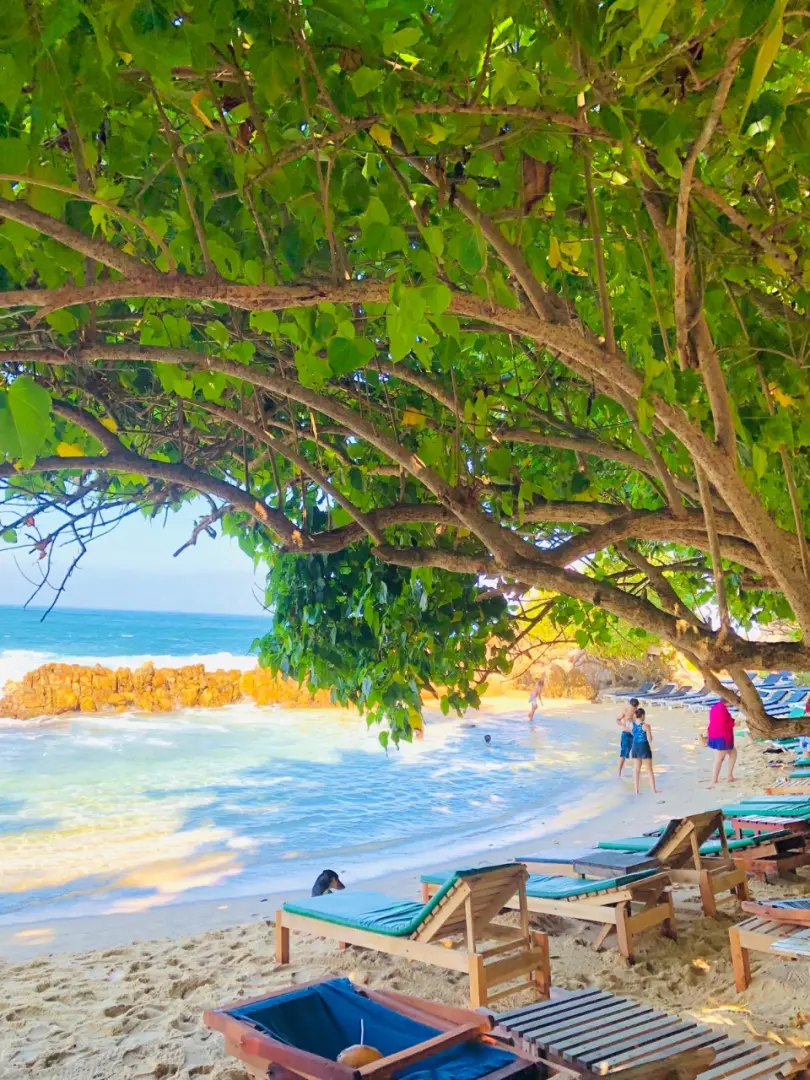 Mirissa – Paradise for Beach Lovers & Whale Watching - photo 5