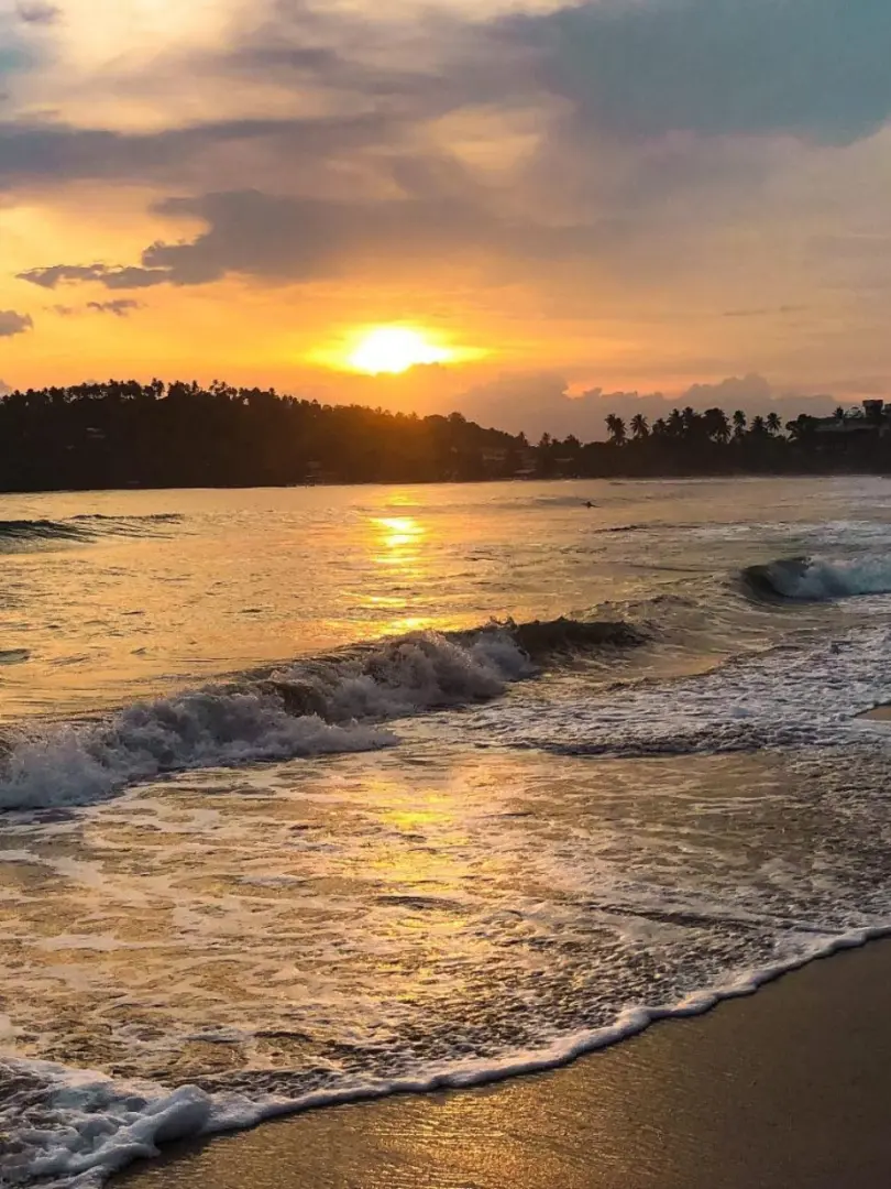 Mirissa – Paradise for Beach Lovers & Whale Watching - photo 7