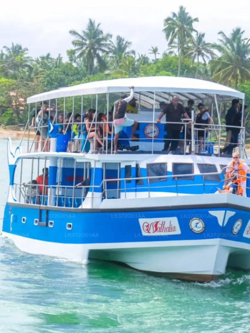 Mirissa – Paradise for Beach Lovers & Whale Watching - photo 11