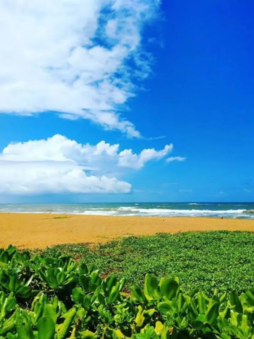 Kalutara – Coastal Town with a Sacred Stupa - photo 4