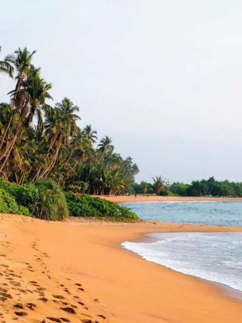Kalutara – Coastal Town with a Sacred Stupa - photo 7