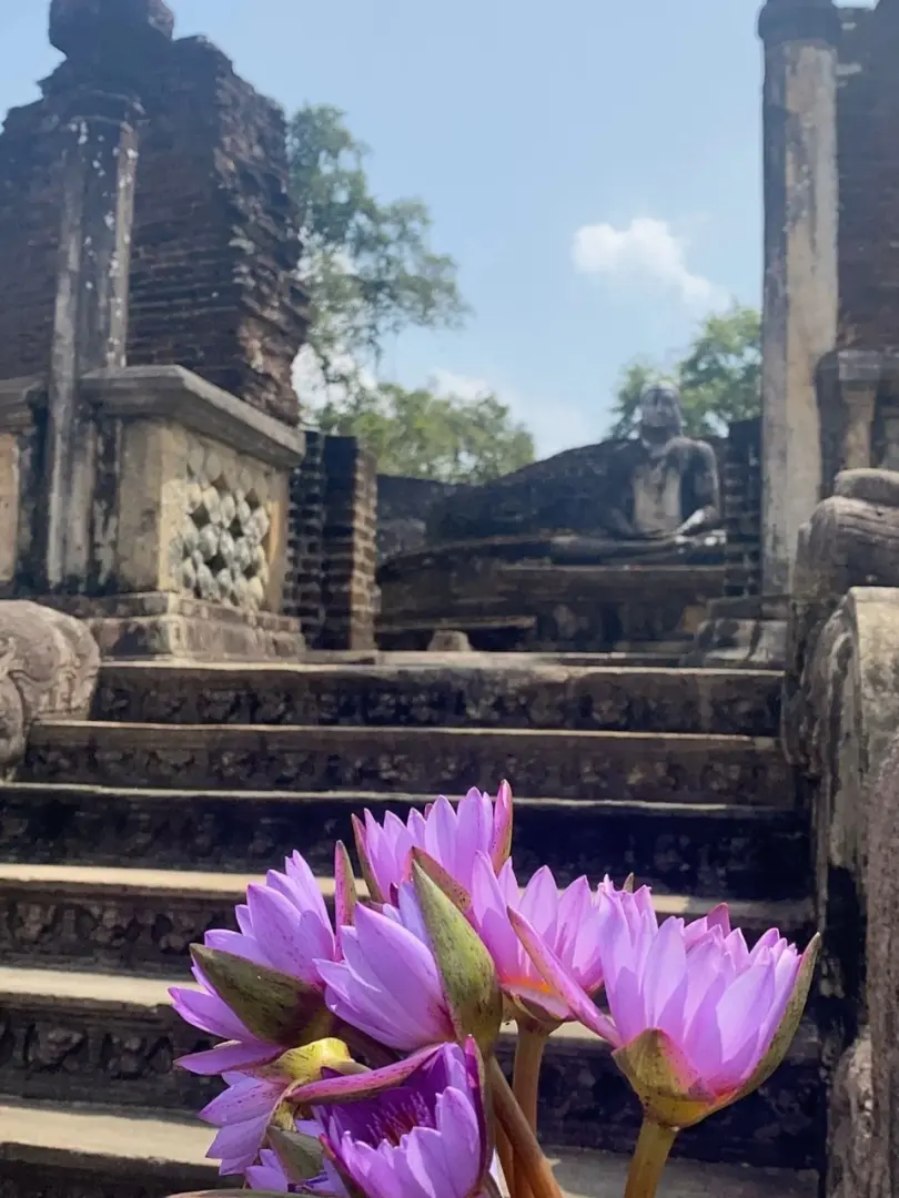 Polonnaruwa – Medieval Kingdom Ruins - photo 11