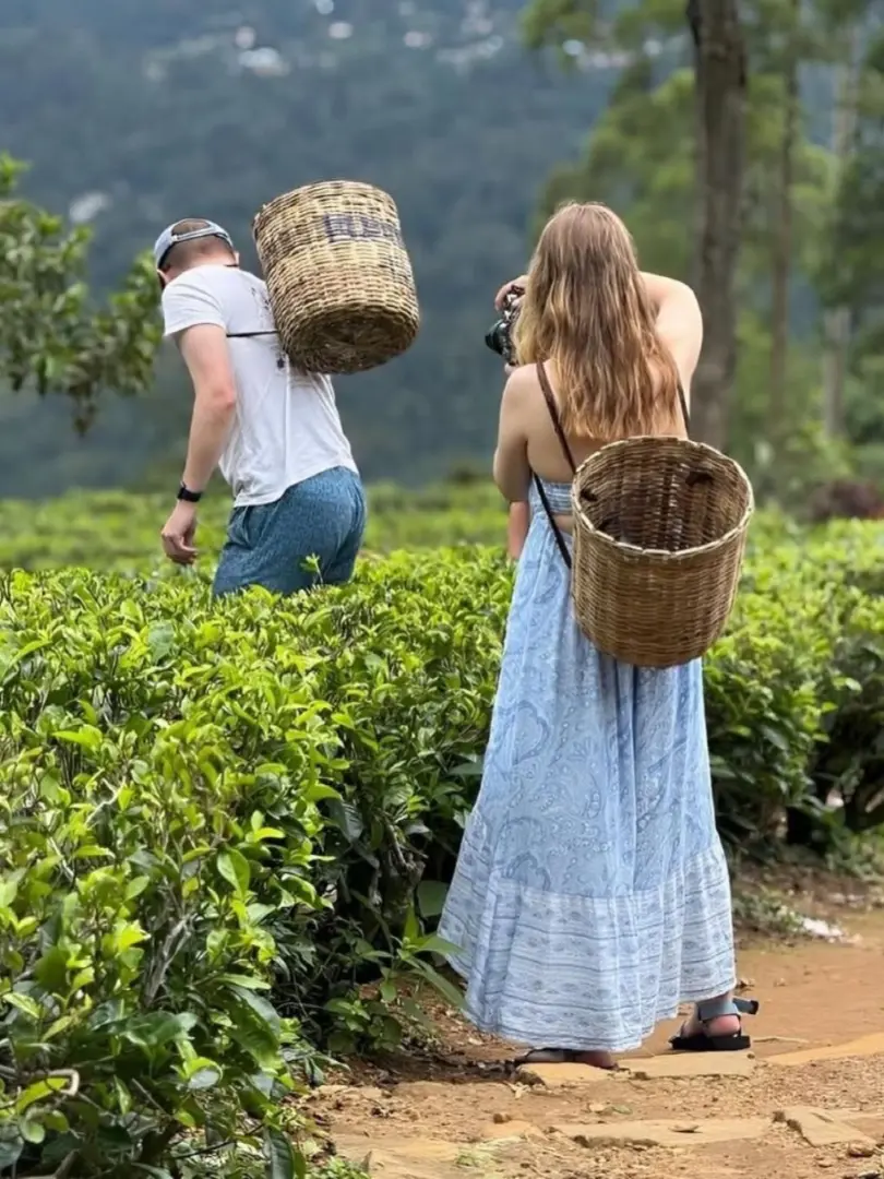 Nuwara Eliya – Little England of Sri Lanka - photo 4