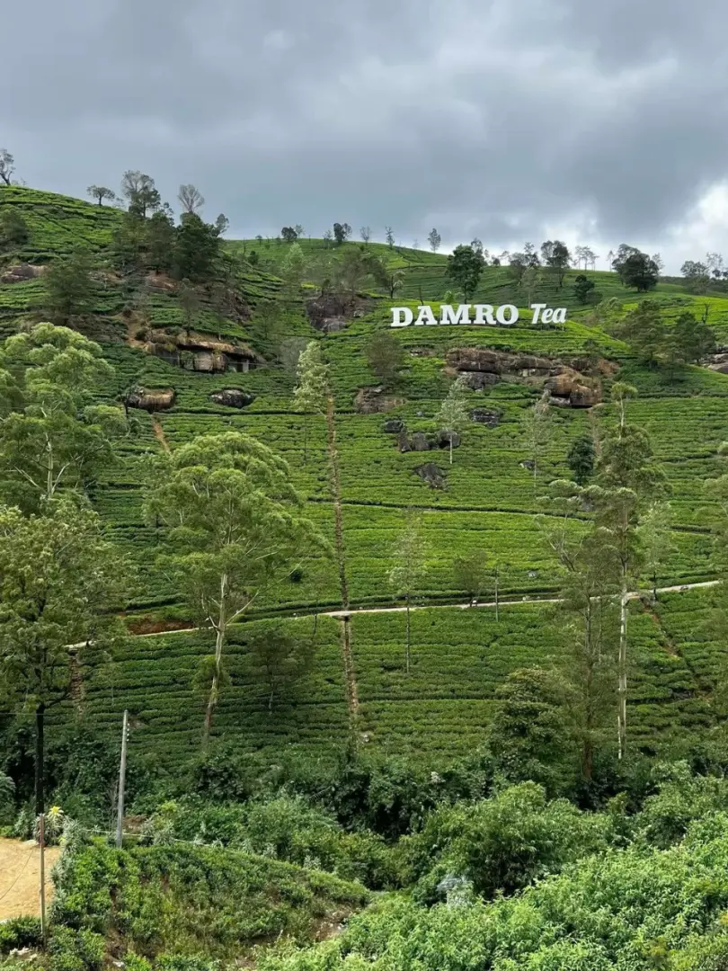 Nuwara Eliya – Little England of Sri Lanka - photo 8