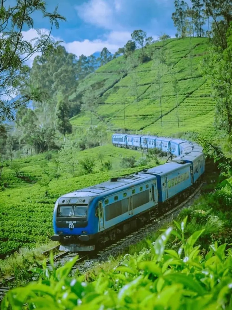 Nuwara Eliya – Little England of Sri Lanka - photo 9