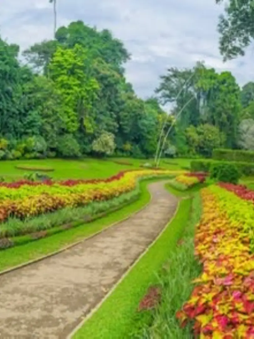 Peradeniya Royal Botanical Gardens – A Green Paradise - photo 3