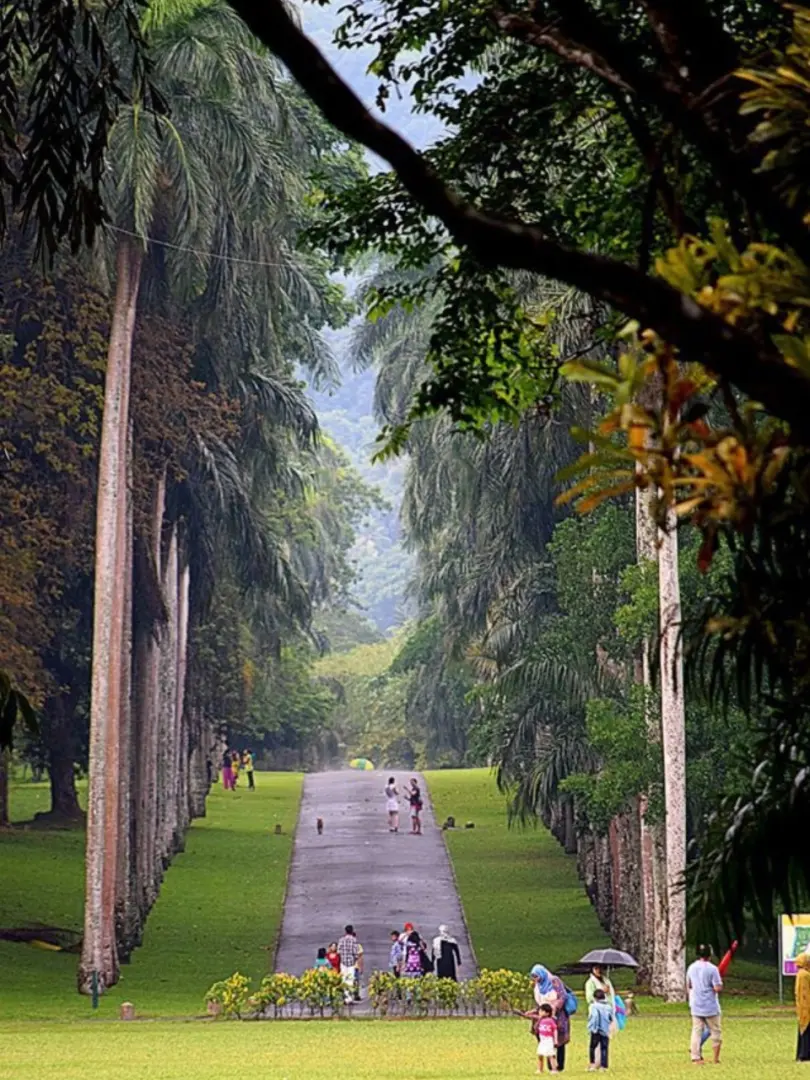 Peradeniya Royal Botanical Gardens – A Green Paradise - photo 4