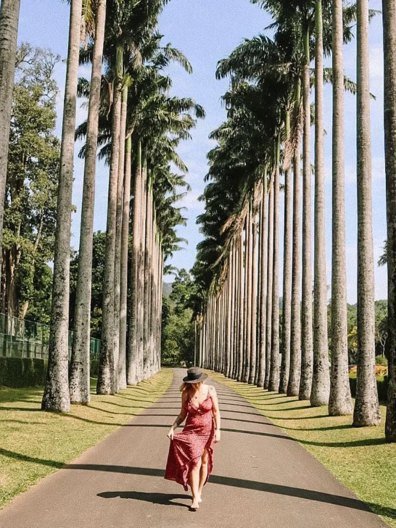 Peradeniya Royal Botanical Gardens – A Green Paradise - photo 7